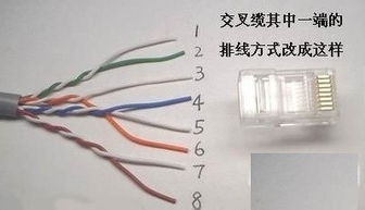 網(wǎng)線和水晶頭制作教程 從零開始掌握網(wǎng)絡(luò)連接技巧
